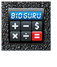 BidGuru Icon
